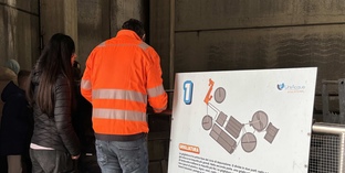 ragazza-esperto-azienda